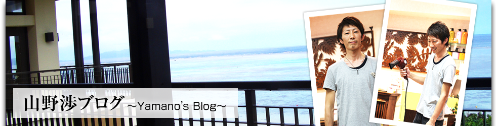 山野 渉のブログ